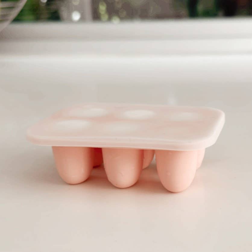 3pc Food & Fruit Pacifier Feeders with Freezer Tray